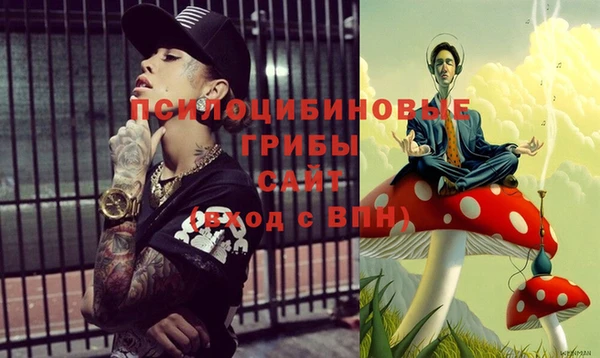 молекула духа Абинск