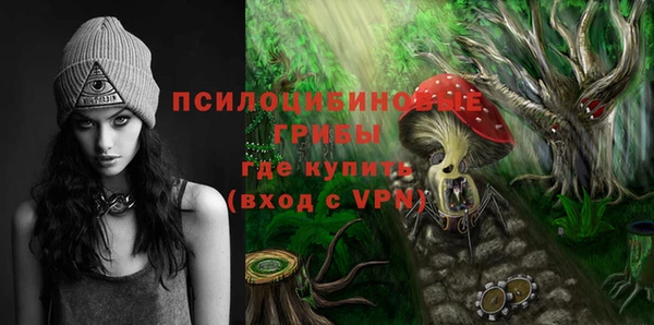 молекула духа Абинск