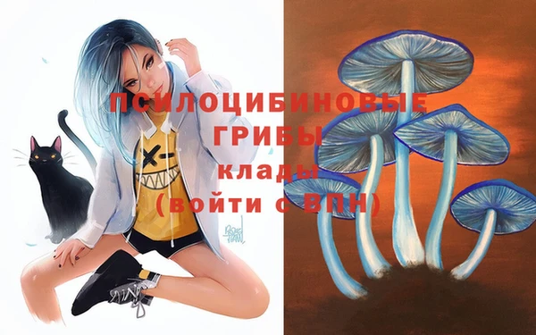 гашик Абдулино