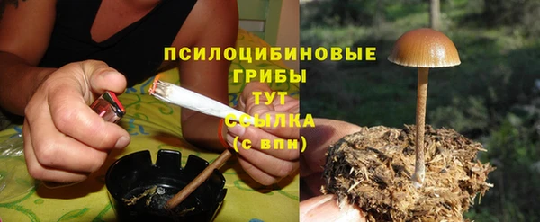 PSILOCYBIN Гусь-Хрустальный